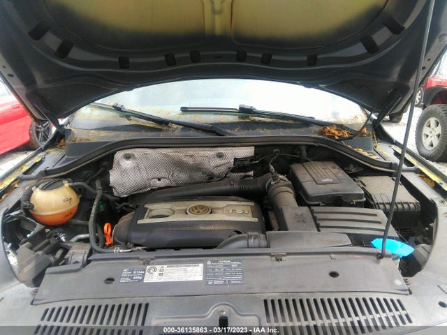 2009 VOLKSWAGEN TIGUAN S VIN: WVGAV75N39W539253