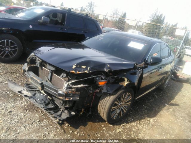 KNALN4D7XE5120926 KIA Cadenza Premium