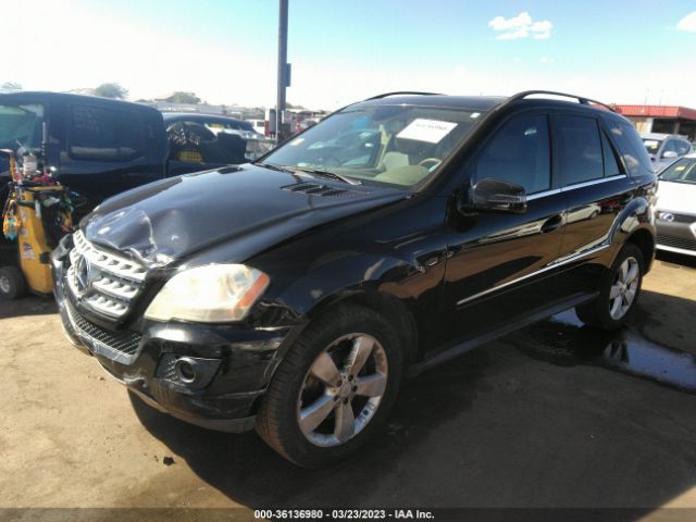 2011 MERCEDES-BENZ M-CLASS 4JGBB8GB4BA639886 Photo 1