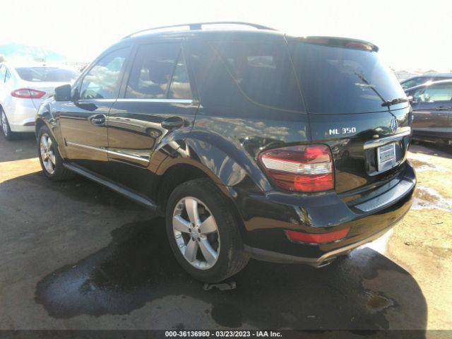 2011 MERCEDES-BENZ M-CLASS 4JGBB8GB4BA639886 Photo 2