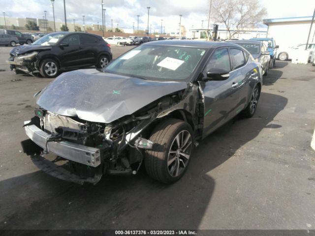 1N4AA6CV6LC386315 Nissan MAXIMA SV