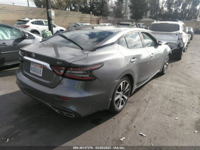 1N4AA6CV6LC386315 Nissan MAXIMA SV