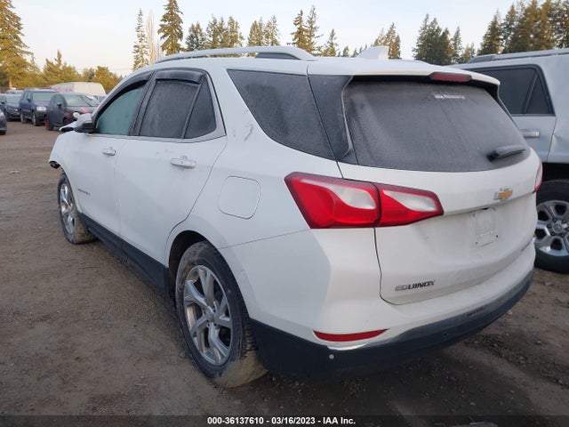 Chevrolet Equinox Premier 2019 2GNAXXEVXK6222172 Image 3