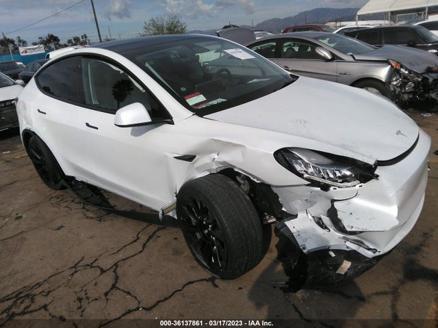2023 7SAYGDEE5PA076240 main image