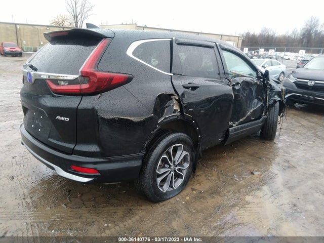 Honda CR-V EX 2020 2HKRW2H52LH676068 Image 4