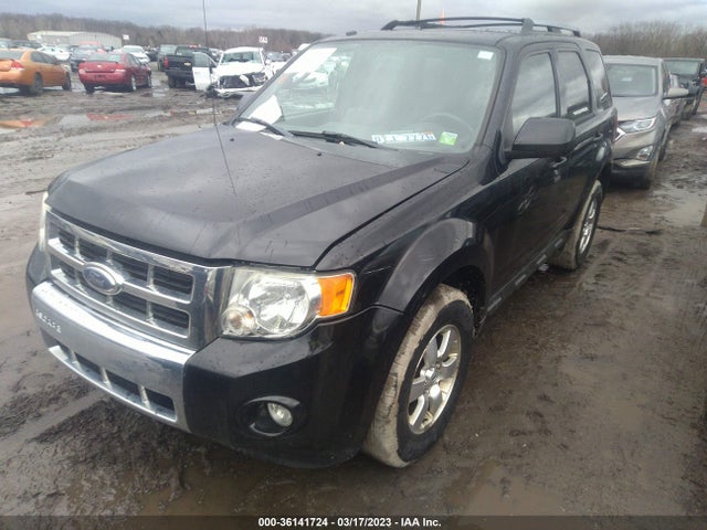 2010 FORD ESCAPE LIMITED VIN: 1FMCU0EG2AKD44504