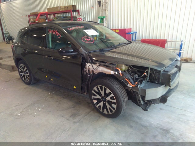 2020 Ford Escape, VIN: 1FMCU0BZXLUB13542