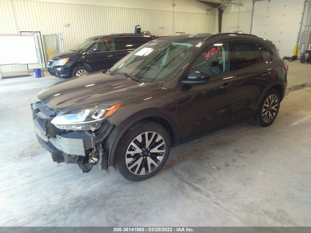 2020 Ford Escape, VIN: 1FMCU0BZXLUB13542