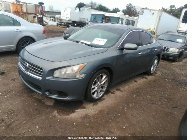 1N4AA51E39C829137 Nissan Maxima 3.5 S