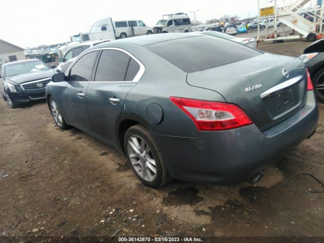 1N4AA51E39C829137 Nissan Maxima 3.5 S