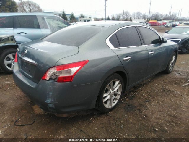 1N4AA51E39C829137 Nissan Maxima 3.5 S