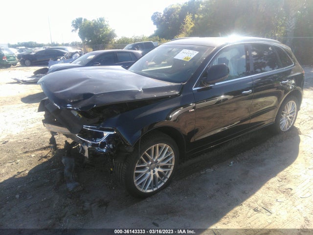 WA1M2AFP9HA073566 Audi Q5 Premium Plus