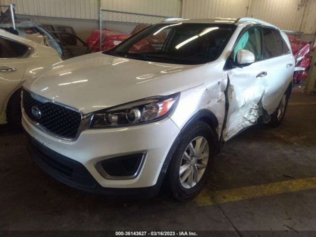 5XYPGDA51HG191719 KIA Sorento Lx V6