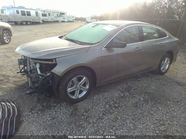 2022 CHEVROLET MALIBU LS VIN: 1G1ZB5ST3NF209901