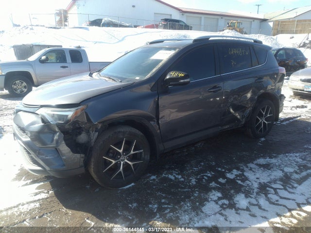 Toyota RAV4 SE 2016 2T3NFREVXGW257248 Image 2