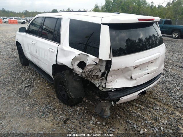 Chevrolet Tahoe Commercial 2019 1GNLCDECXKR362468 Image 3