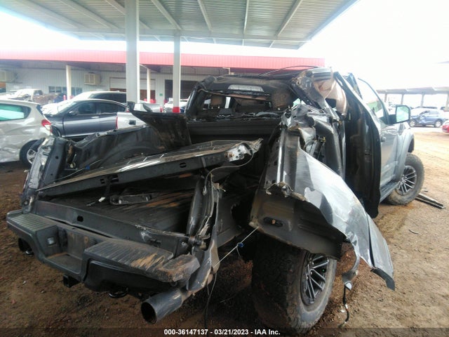 2020 FORD F-150 RAPTOR VIN: 1FTFW1RG7LFB67388