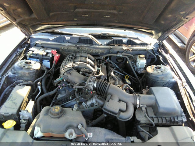Ford Mustang V6 2014 1ZVBP8AM4E5270439 Image 11