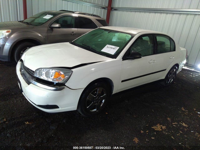 2005 CHEVROLET MALIBU BASE VIN: 1G1ZS52855F199741