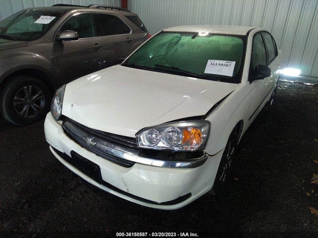 2005 CHEVROLET MALIBU BASE VIN: 1G1ZS52855F199741
