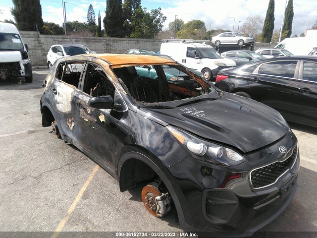 KIA Sportage Lx 2019 KNDPM3AC3K7572817 Image 6
