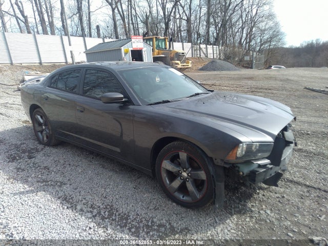 Dodge Charger Sxt Plus 2014 2C3CDXHG3EH180464 main image