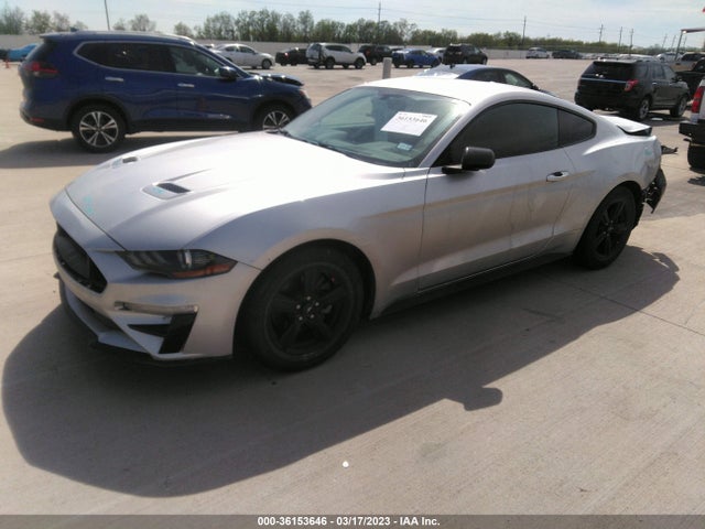 Ford Mustang Ecoboost 2019 1FA6P8TH8K5203705 Image 2