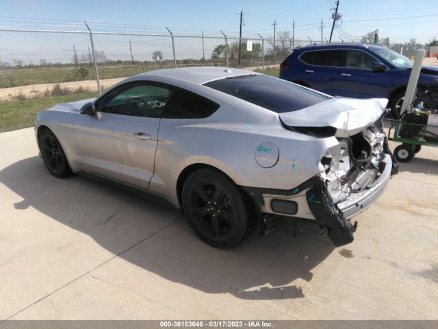 Ford Mustang Ecoboost 2019 1FA6P8TH8K5203705 Image 3