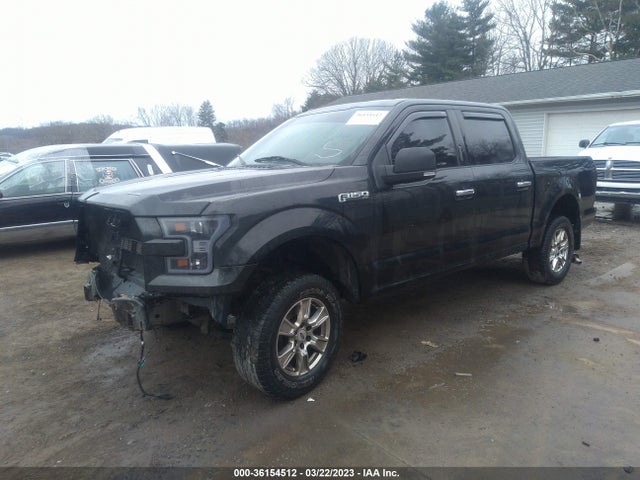 2015 FORD F-150 XLT/XL/LARIAT/PLATINUM VIN: 1FTEW1EF8FFC97371