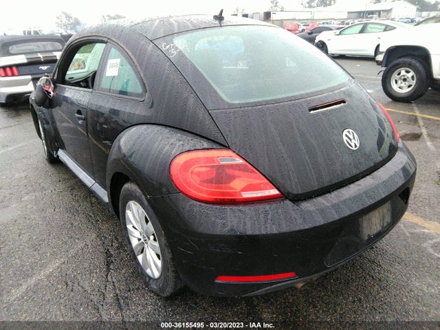 3VWF17ATXFM603114 Volkswagen Beetle Coupe 1.8t Fleet Edition