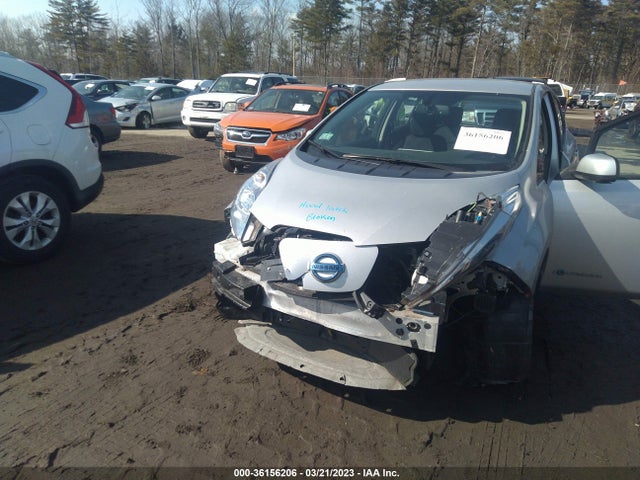 2016 Nissan Leaf, VIN: 1N4BZ0CPXGC310310