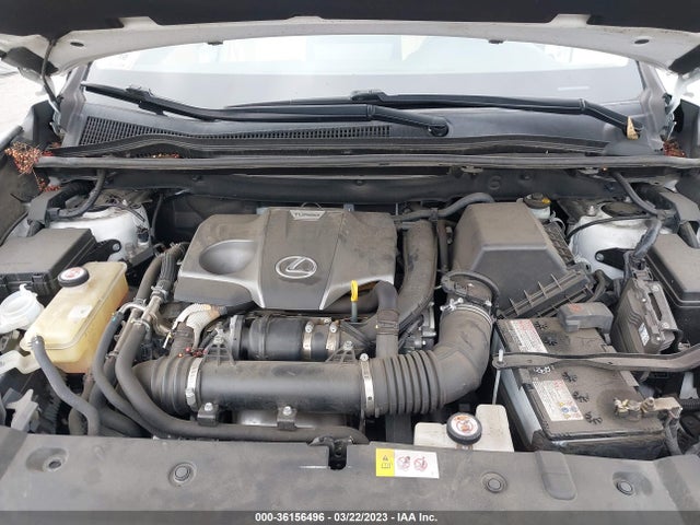 2019 Lexus NX, VIN: JTJYARBZ3K2130231