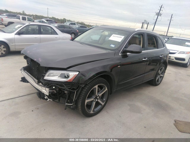WA1D7AFP9GA008605 Audi Q5 Premium Plus