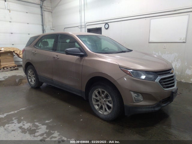 Chevrolet EQUINOX LS 2019 2GNAXSEV9K6125614 Image 1