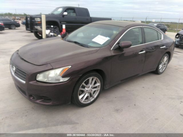 1N4AA5AP3EC466088 Nissan MAXIMA 3.5
