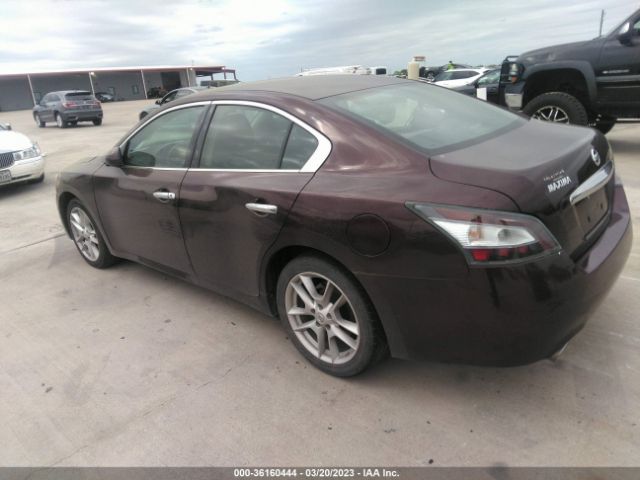 1N4AA5AP3EC466088 Nissan MAXIMA 3.5