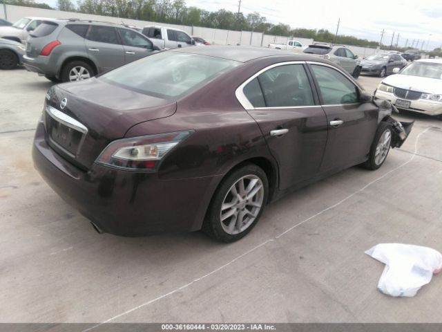 1N4AA5AP3EC466088 Nissan MAXIMA 3.5