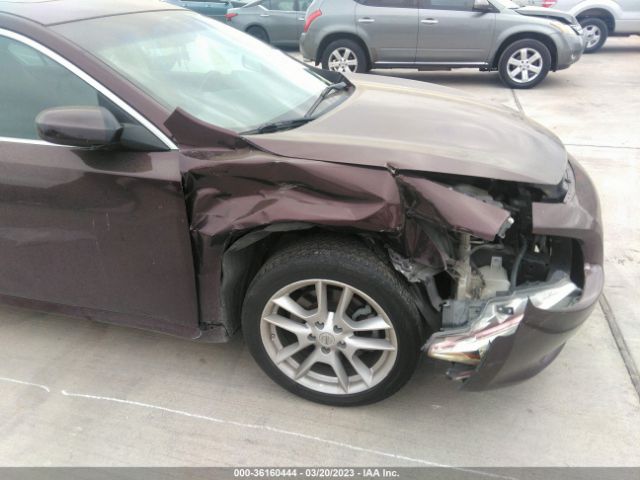1N4AA5AP3EC466088 Nissan MAXIMA 3.5