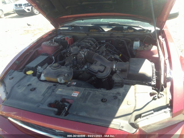 Ford Mustang V6 2014 1ZVBP8AM3E5200348 Image 11