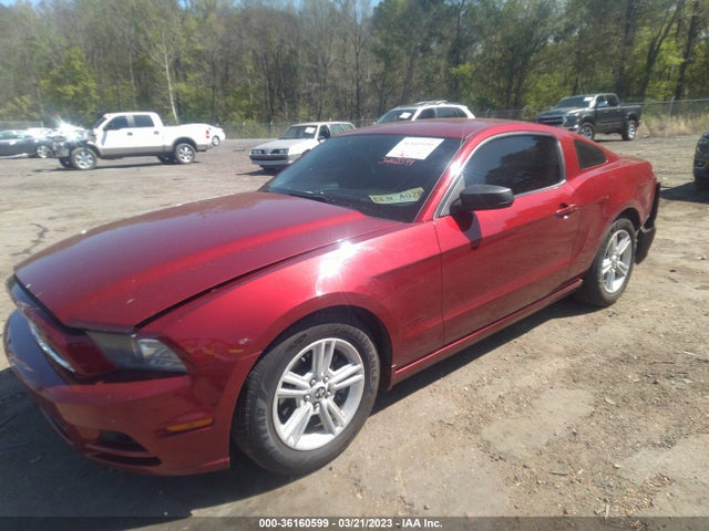 Ford Mustang V6 2014 1ZVBP8AM3E5200348 Image 2