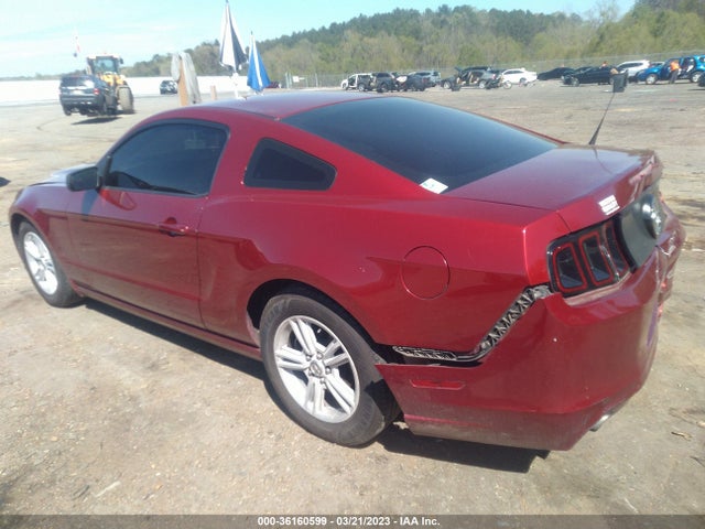 Ford Mustang V6 2014 1ZVBP8AM3E5200348 Image 4