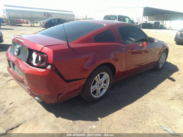 Ford Mustang V6 2014 1ZVBP8AM3E5200348 Image 5
