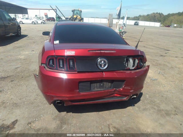 Ford Mustang V6 2014 1ZVBP8AM3E5200348 Image 7