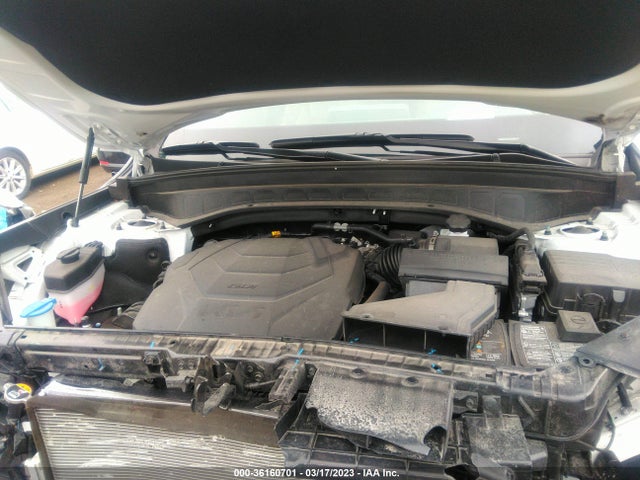 2022 KIA TELLURIDE SX VIN: 5XYP5DHC1NG202840