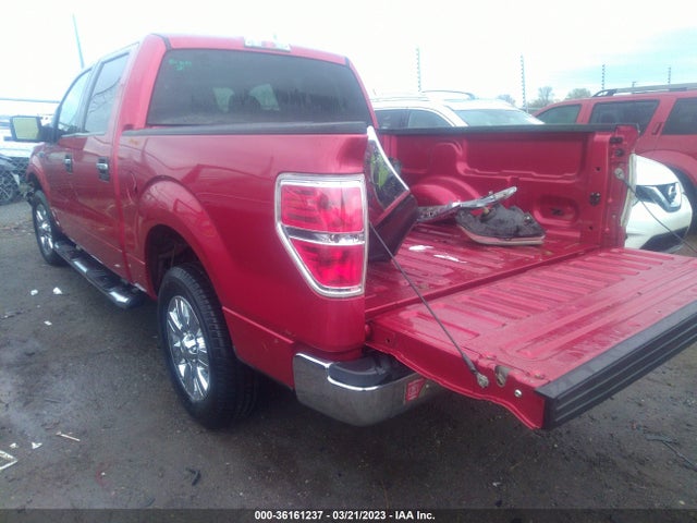 2010 FORD F-150 XL/XLT VIN: 1FTFW1CV9AFB24210