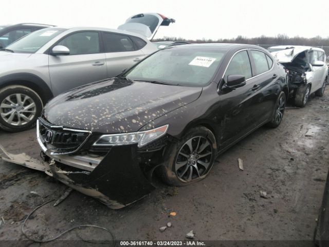 19UUB1F59FA026511 Acura TLX TECH