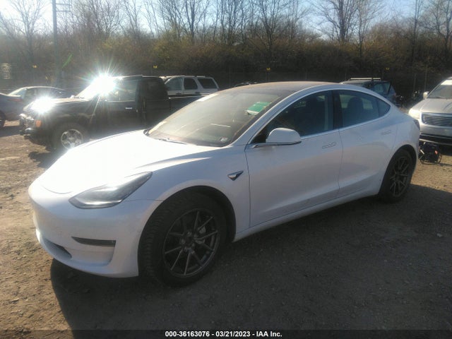 Tesla Model 3 Long Range/performance 2019 5YJ3E1EB1KF493612 Image 2