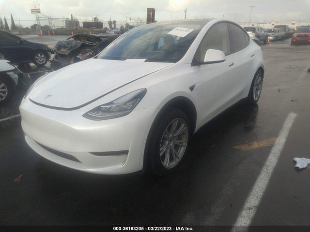 7SAYGDEE8PA038646 Tesla Model Y Long Range