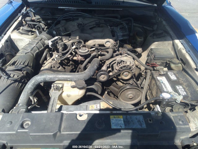 2003 FORD MUSTANG DELUXE/PREMIUM VIN: 1FAFP44443F340494