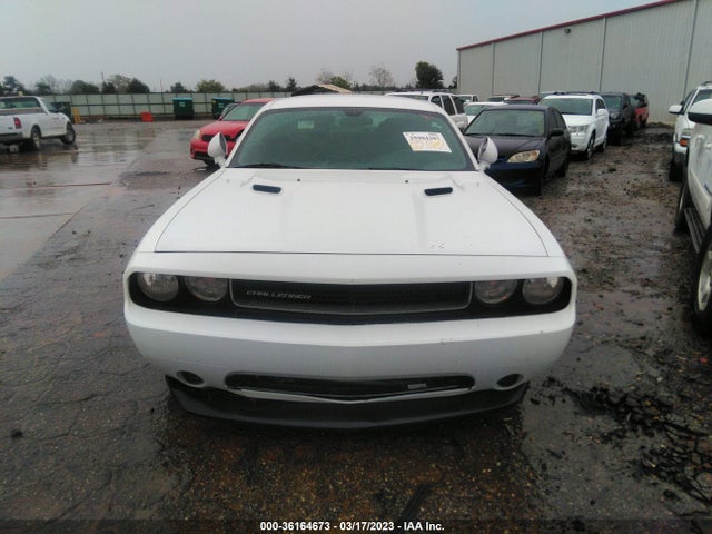 Dodge Challenger Sxt 2014 2C3CDYAG4EH244947 Image 7